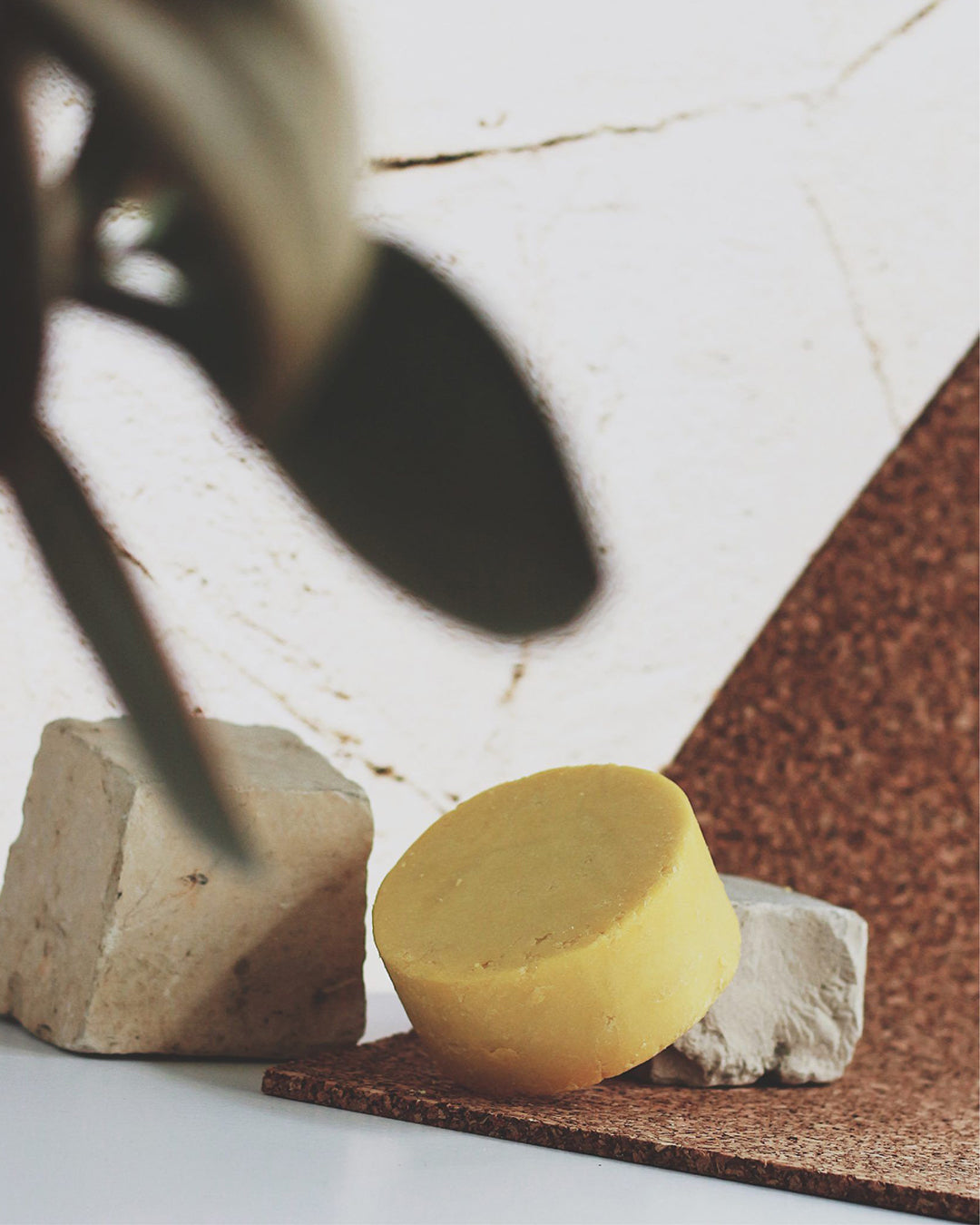 Champú Sólido Purificante Shikakai