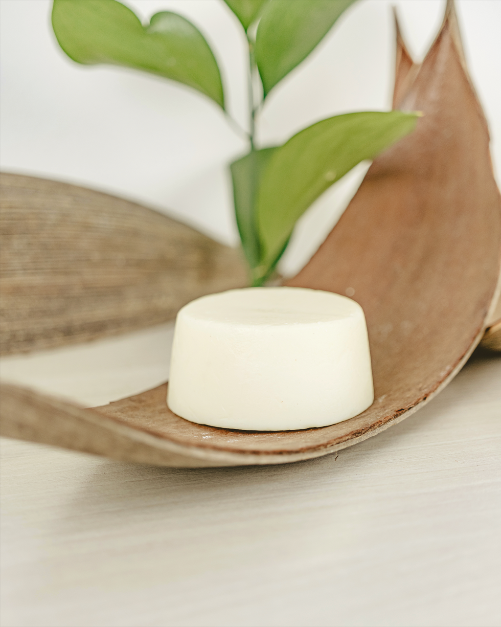 Acondicionador de Pelo Sólido Bio