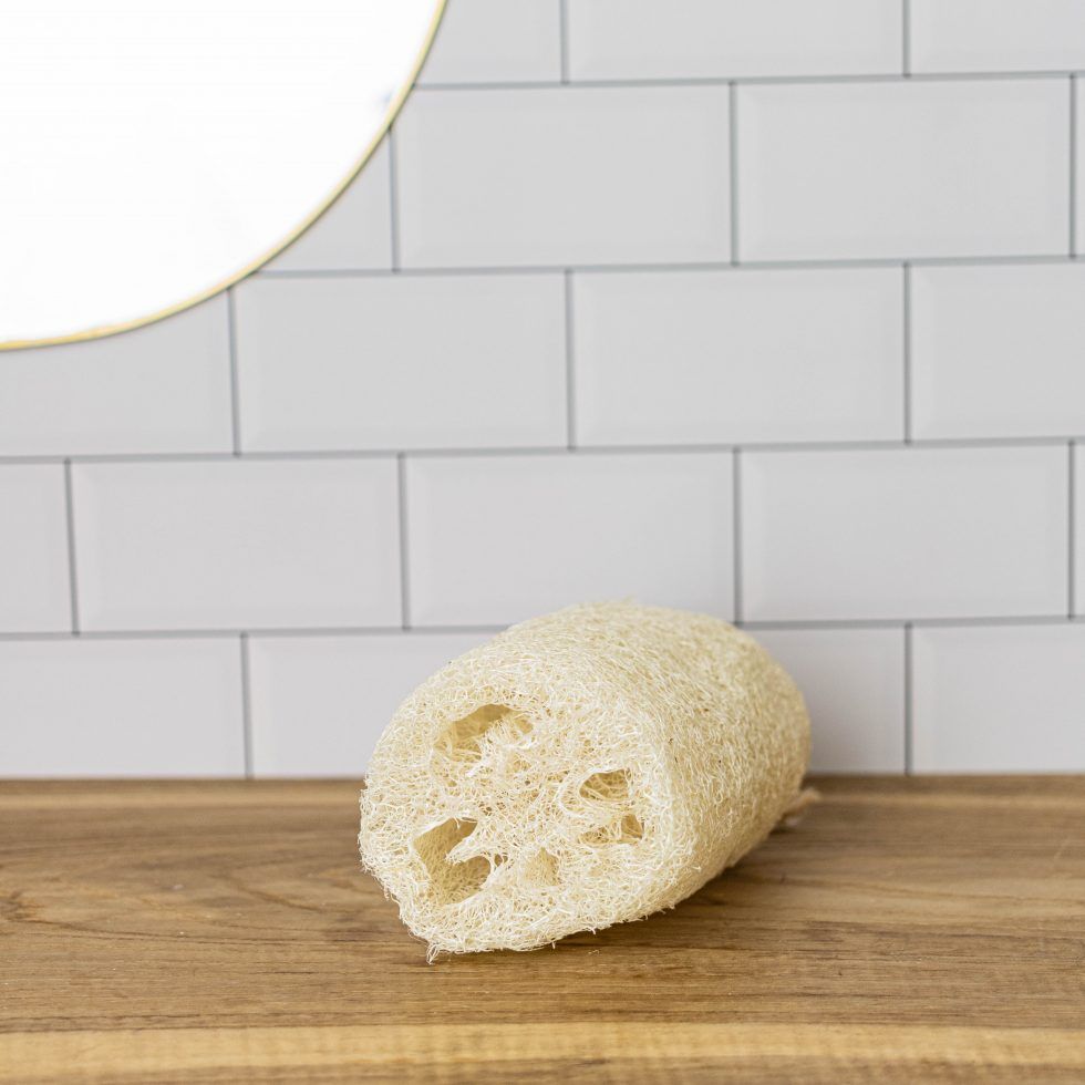 Esponja de Luffa